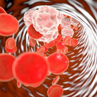 Circulation sanguine plus saine